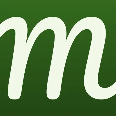 Мир Макса, страховое агентство, лого-визитка